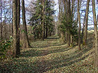 Nejzápadnější bod ČR